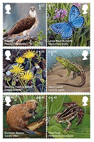 Britain and Ireland | 2018 Reintroduced Species Great Britain Presentation Pack By Royal Mail Britain & Ireland Britain & Ireland