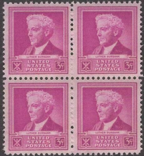 United States | 1940 Famous Americans Luther Burbank Block of Four 3-Cent US Postage Stamps Mint Never Hinged Bright red violet Stamp Bright red violet