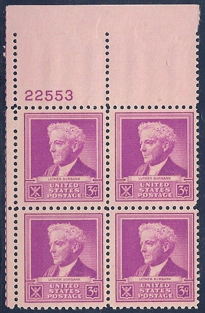 United States | Luther Burbank Plate Block of Four 3-Cent United States Postage Stamps Issued 1940 Stamp United States